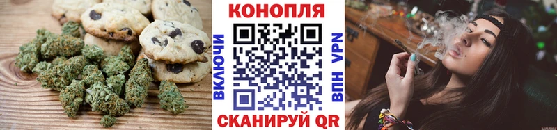 Купить где  Богданович  Cannafood конопля 