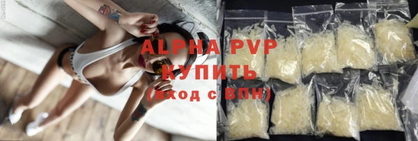 трава Карпинск