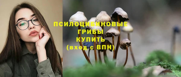 винт Карталы