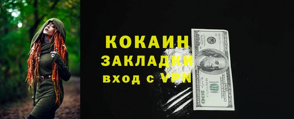 индика Кинешма