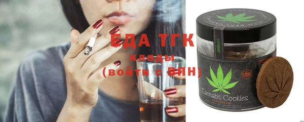 индика Кинешма