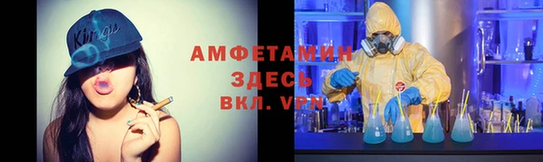 трава Карпинск
