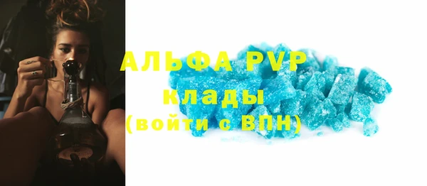 трава Карпинск