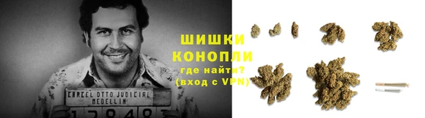 трава Карпинск