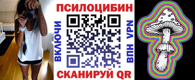Купить закладки  Богданович  Галлюциногенные грибы Cubensis 